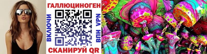где найти Афипский Галлюциногенные грибы MAGIC MUSHROOMS